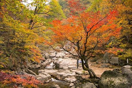 Otoño en Seoraksan I: La cascada de Biryeong