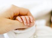 Guía Para ferina para Padres