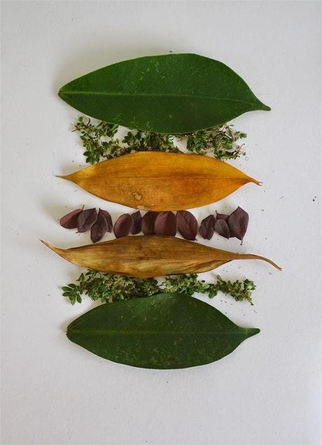 Tang Chiew Ling Tang Chiew Ling