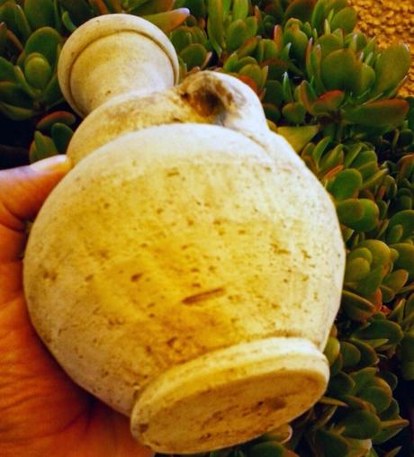 Fascinación por la tierra