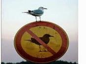 Cuando democracia consiste negar palabra pueblo