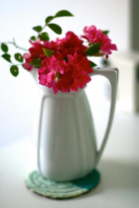 rosas_6_20140616 - Version 2