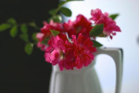 rosas_3_20140616 - Version 2