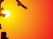 Suicidios veteranos guerra