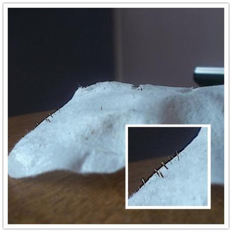 100_2308_副本_副本