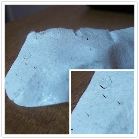 100_2303_副本_副本