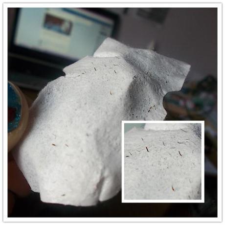 100_2305_副本_副本