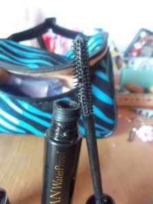 Request: ¿Que hay en mi Necessaire? 100_2375