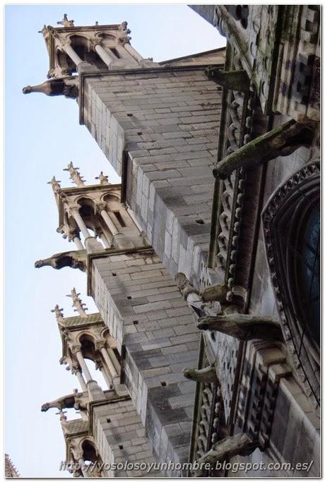 lateral de Notre Dame