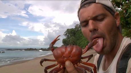 Frank de la jungla, el camino incorrecto de los programas de animales