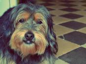 Menudo tema este !!!!