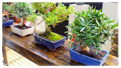 Visita al XX Salón del Manga de Barcelona