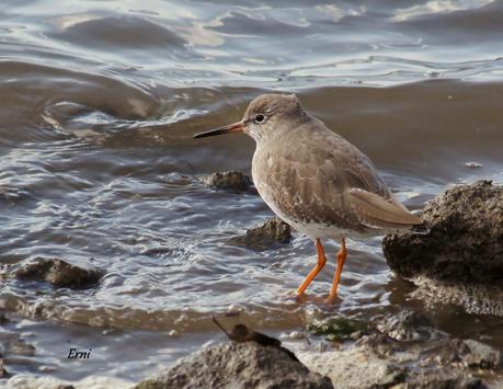 PREPARADOS PARA LA INVERNADA