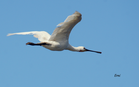 PREPARADOS PARA LA INVERNADA