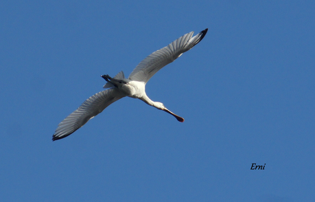 PREPARADOS PARA LA INVERNADA