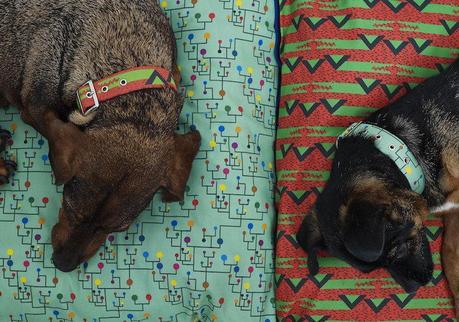 La nueva temporada en Pepito&Co. La nueva temporada en Pepito&Co.