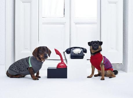 La nueva temporada en Pepito&Co. La nueva temporada en Pepito&Co.