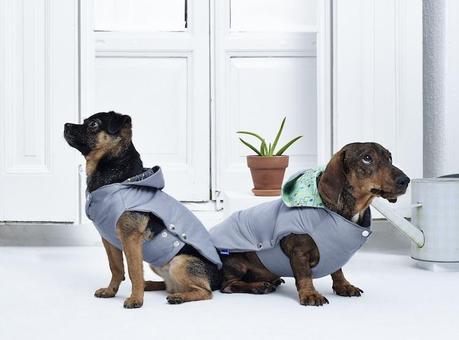 La nueva temporada en Pepito&Co. La nueva temporada en Pepito&Co.