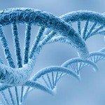 ¿Cómo se heredan las enfermedades?