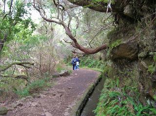 Bosque Laurisilva, levada, Madeira, Portugal, La vuelta al mundo de Asun y Ricardo, round the world, mundoporlibre.com