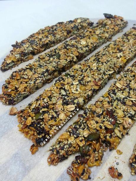 Barritas Energéticas (Semillas y Cereales)