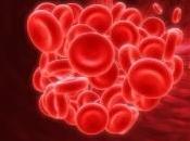 Alimentos favorables para tratar anemia