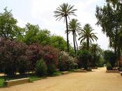 Proyecto Zona Verde Pública Espacio Parque Jardín Percepción