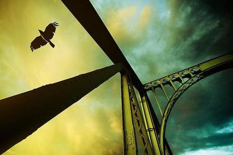 3726138602_0f845e0157_z