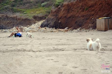 ¿TE ANIMAS A PARTICIPAR CON TU MASCOTA EN HC?