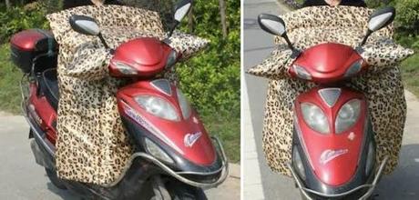 scooter leopardo
