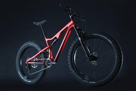 Salsa Bucksaw Carbon 1