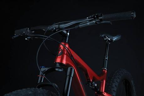 Salsa Bucksaw Carbon 2