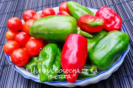 LA HUERTA DE HERRERA......................Cosechas.-