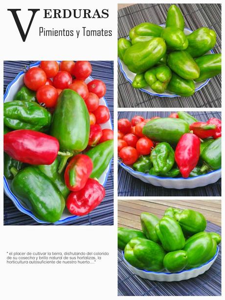 LA HUERTA DE HERRERA......................Cosechas.-