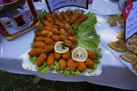 Fiesta de las colectividades 2014