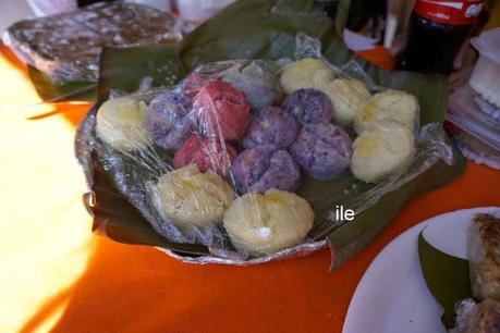 Fiesta de las colectividades 2014