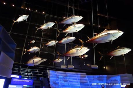 BARCELONA MÁS MEDITERRÁNEA QUE NUNCA