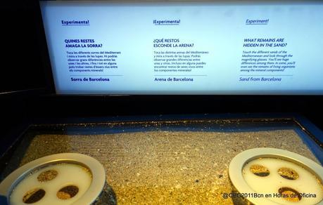 BARCELONA MÁS MEDITERRÁNEA QUE NUNCA