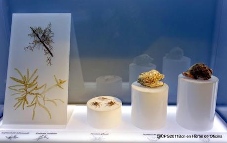 BARCELONA MÁS MEDITERRÁNEA QUE NUNCA