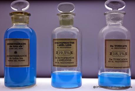 BARCELONA MÁS MEDITERRÁNEA QUE NUNCA