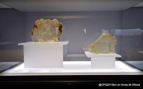 BARCELONA MÁS MEDITERRÁNEA QUE NUNCA