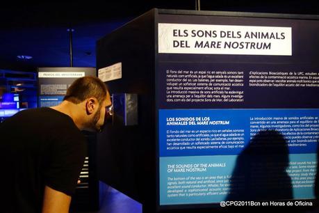 BARCELONA MÁS MEDITERRÁNEA QUE NUNCA