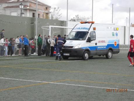 CRONICA DE MOLLINA Y ALMOGIA 2014