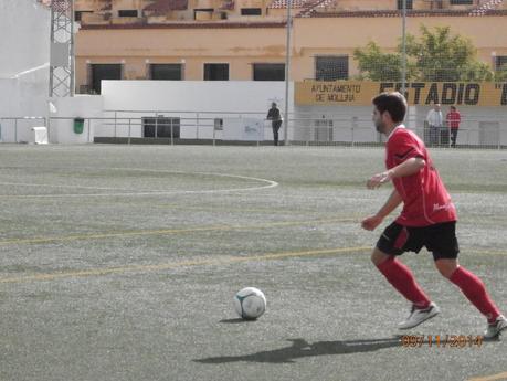 CRONICA DE MOLLINA Y ALMOGIA 2014