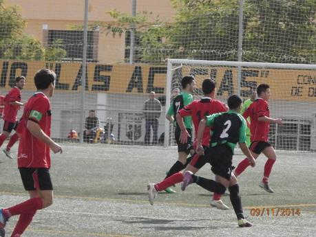 CRONICA DE MOLLINA Y ALMOGIA 2014