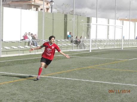 CRONICA DE MOLLINA Y ALMOGIA 2014