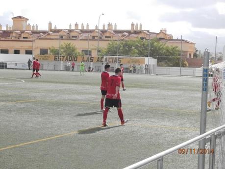 CRONICA DE MOLLINA Y ALMOGIA 2014