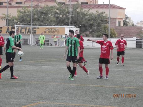 CRONICA DE MOLLINA Y ALMOGIA 2014