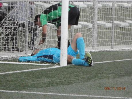 CRONICA DE MOLLINA Y ALMOGIA 2014