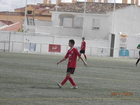 CRONICA DE MOLLINA Y ALMOGIA 2014